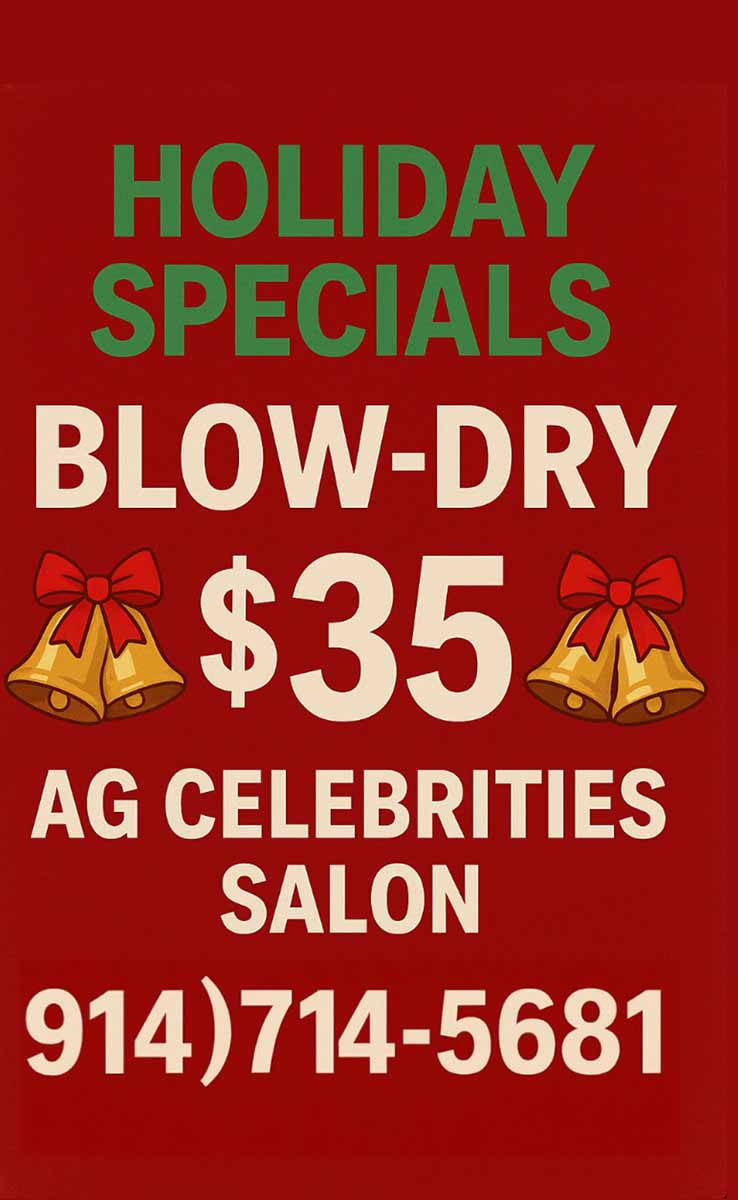 Holiday Special Blow Dry $35